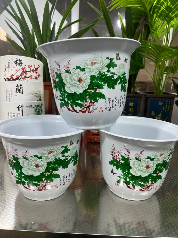 三个白牡丹270大花送托盘（口径26厘米，高19）