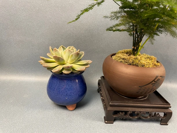一物一拍链接小叶黄杨木摆件