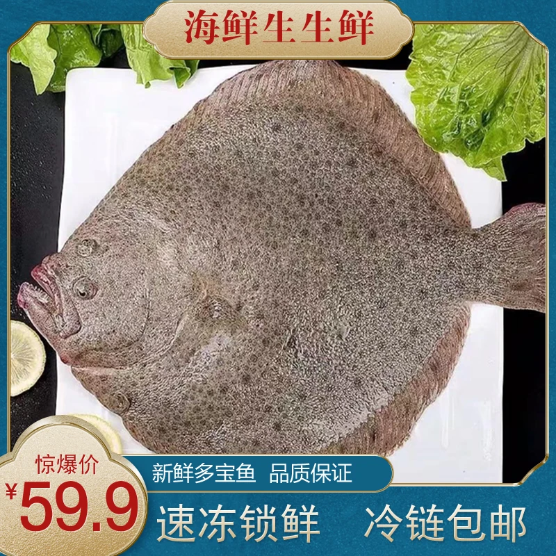 新鲜多宝鱼海鱼速冻锁鲜冷链发货肉质细腻