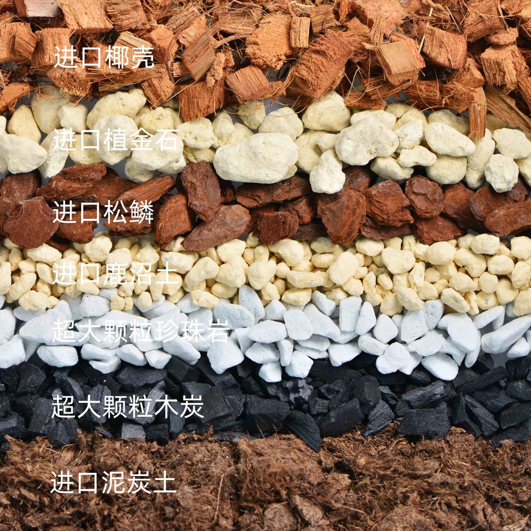 天南星科七合一专用土 玩家版 10升 龟背竹 海芋 龙鳞春羽 花烛