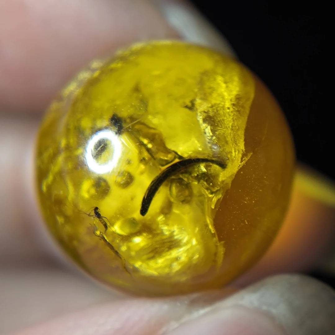 天然原矿波罗的海虫珀植物珀完整植物金刚菩提手串隔珠顶珠配饰