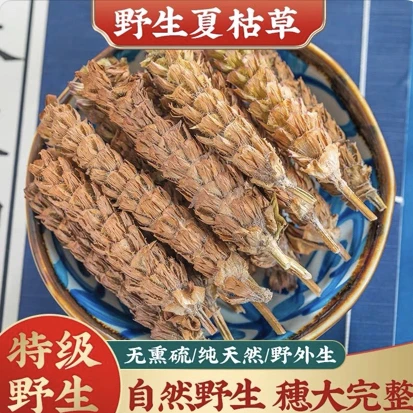 夏枯草．夏枯球中药材