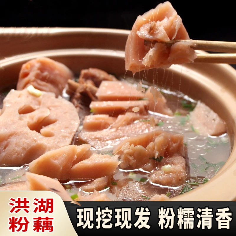 洪湖莲藕新鲜粉藕现挖湖北农家特产莲藕带泥藕糯米藕