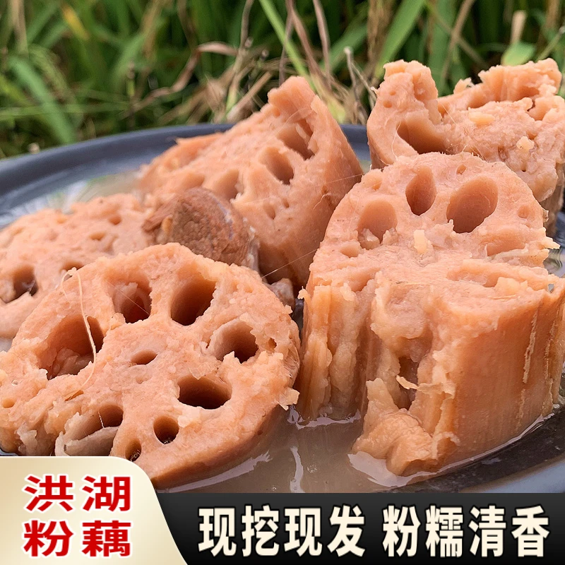 正宗洪湖粉藕莲藕新鲜现挖湖北农家特产莲藕带泥藕煲汤藕九孔红藕
