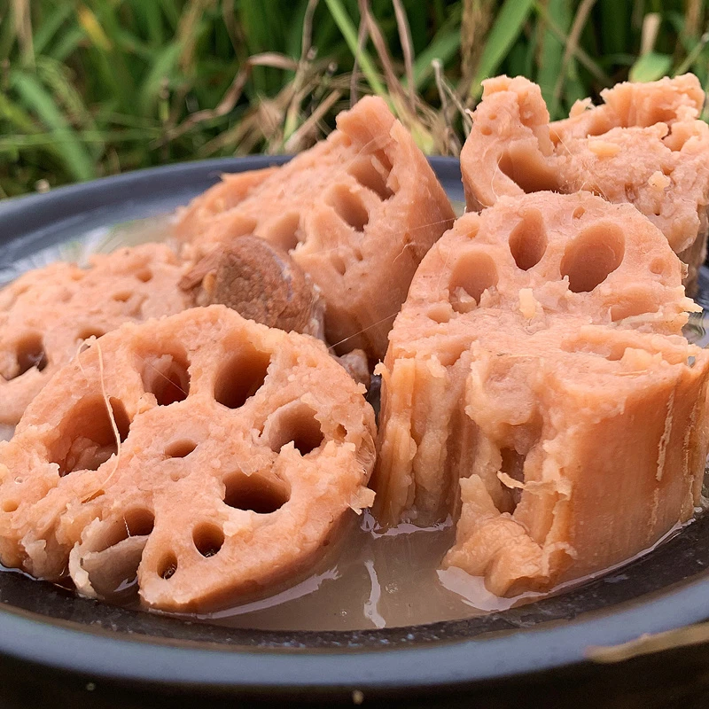 正宗洪湖粉藕莲藕新鲜现挖湖北农家特产煲汤粉藕带泥九孔藕红藕