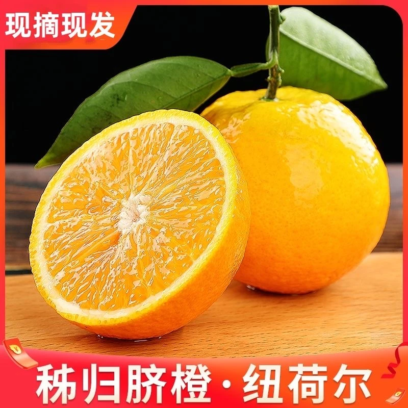 【九斤包邮】正宗秭归纽荷尔脐橙江边橙现摘现发坏果包赔