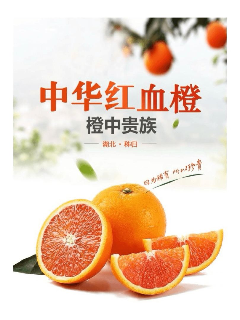 湖北秭归脐橙发货红橙新鲜快递爆汁香甜产地直发皮薄鲜橙多汁现摘
