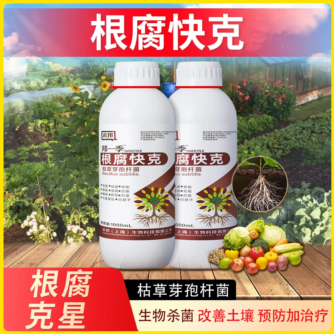 根腐软腐病邦一季根腐快克专用甲霜恶霉灵微生物菌剂菌立清杀菌剂