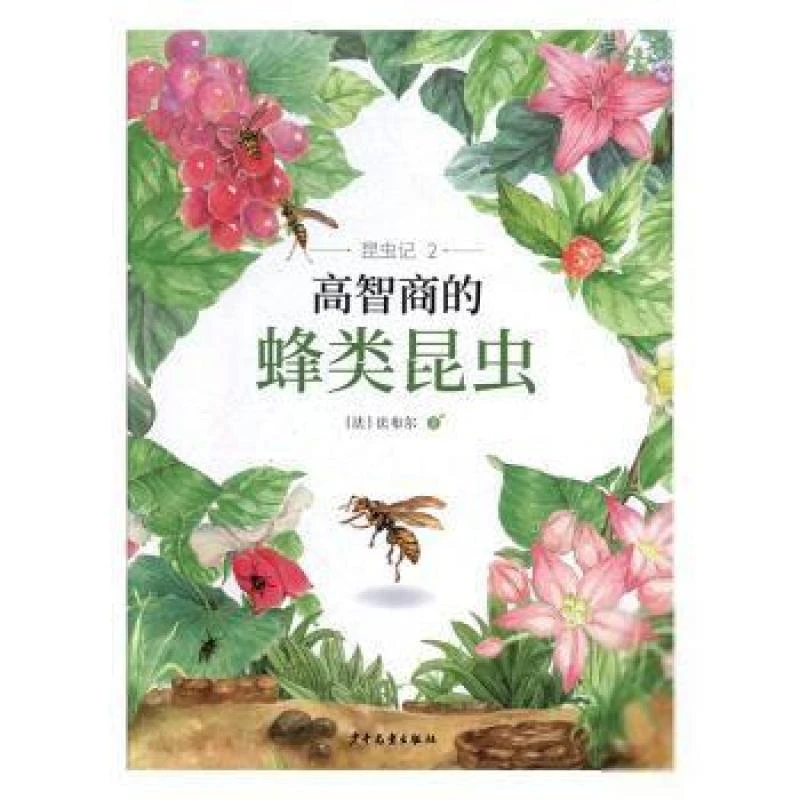 【正版】DK儿童百科全书（精致版）9787558902802