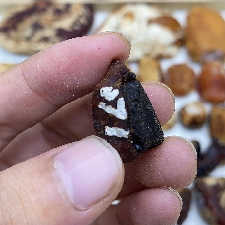 定制琥珀未镶嵌裸石