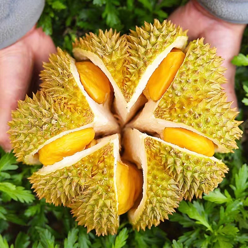 泰国金枕榴莲新鲜水果2-7斤带壳整箱包邮肉厚皮薄果香浓郁优质
