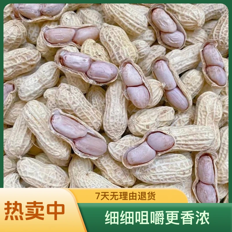 25年新果客家正宗水煮咸干花生坚果零食独立包装包邮