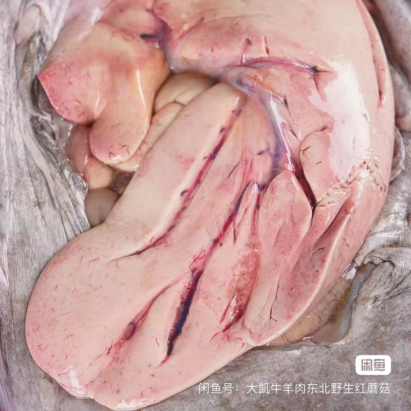 安康鱼肝（鲜鱼现取）顺丰包邮4斤