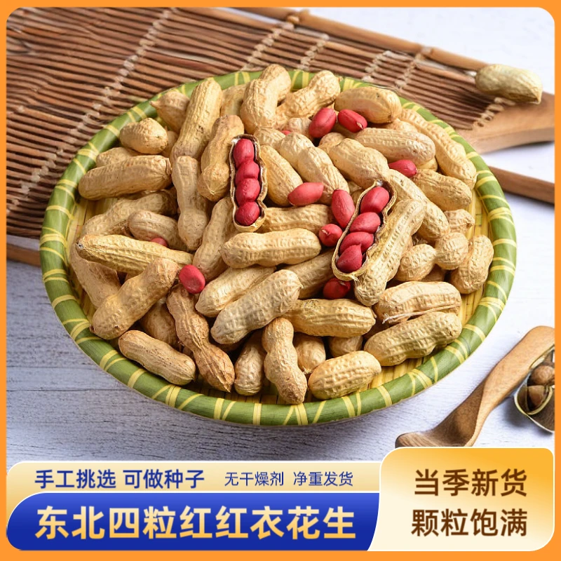 东北红皮生熟花生新货四粒红带壳红衣花生米种子批发零食下酒菜