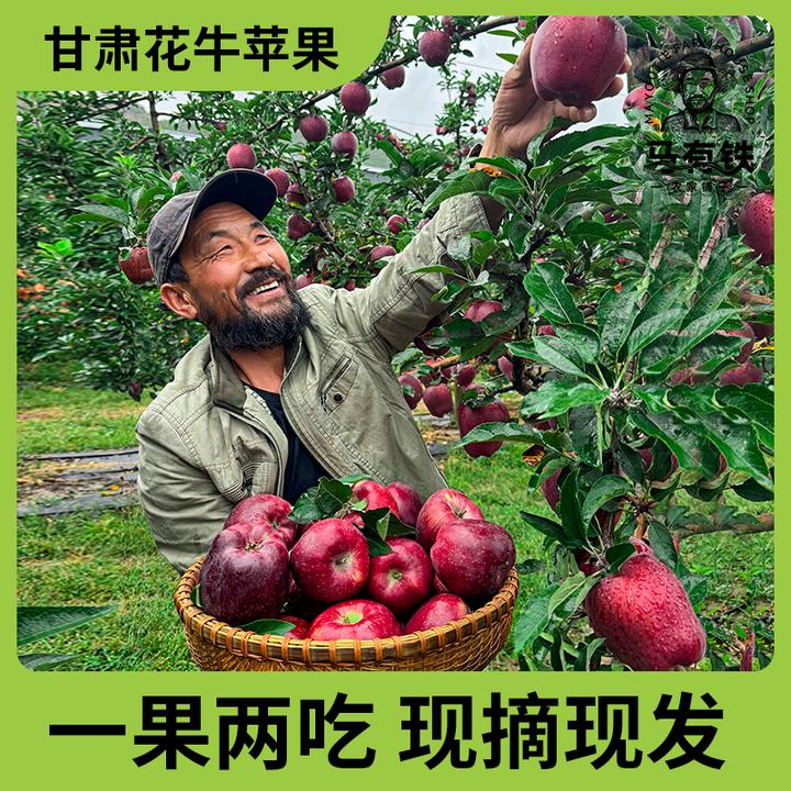 【一果两吃】甘肃天水花牛苹果可刮泥粉面苹果4.5斤/12枚礼盒装