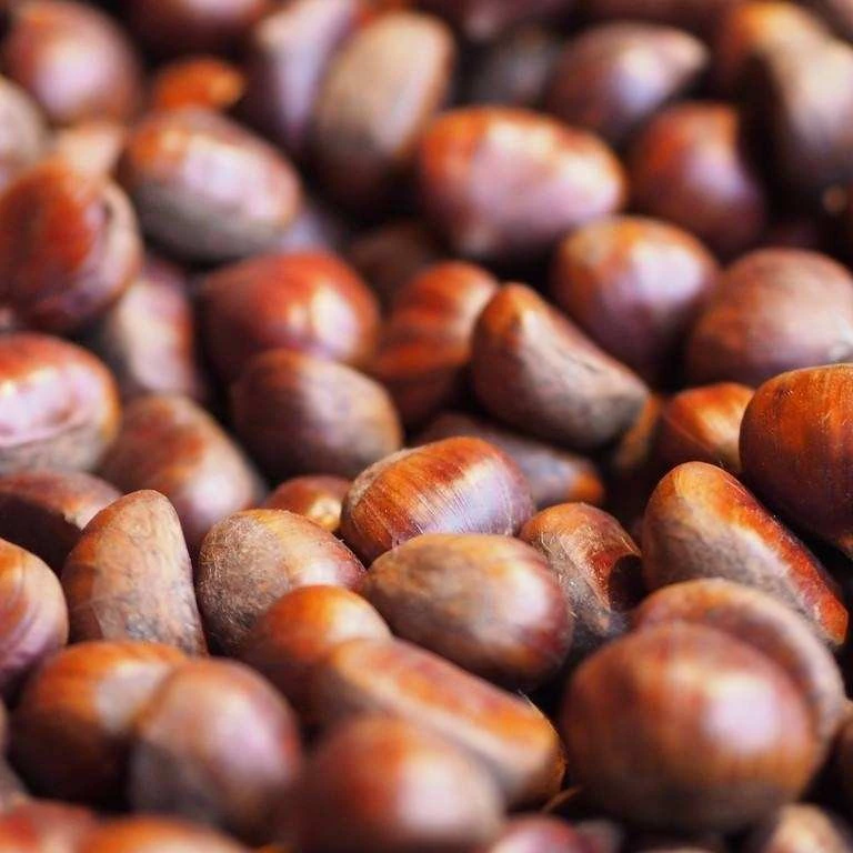 【整果不剥】板栗