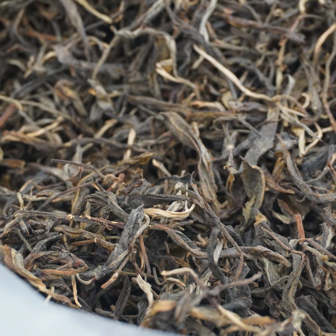 2023年 正气塘 古树头春纯料 普洱生茶散料