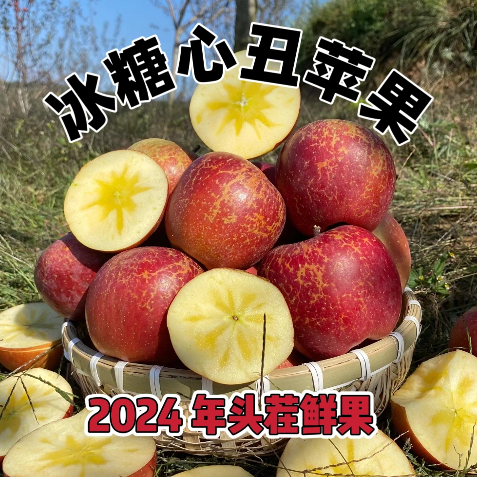 云南昭通冰糖心丑苹果 自家果园 新鲜采摘 甜脆多汁