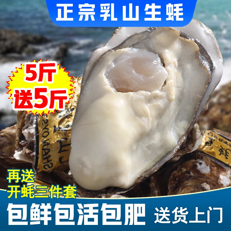 【买5斤送5斤】鲜活乳山生蚝新鲜牡蛎海蛎子原产地直发海鲜刺身送礼