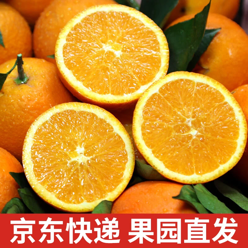 【坏果包赔】正宗江西赣南脐橙橙子现摘应季水果果园直发【ZL】