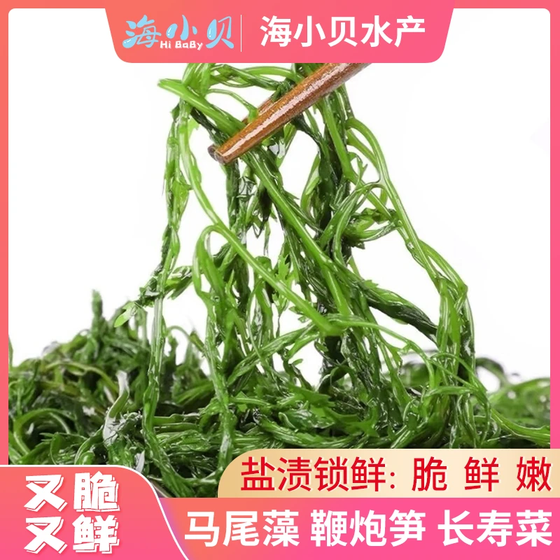 【2025年头茬】威海荣成海域盐渍马尾藻 鞭炮笋 海藻菜 长寿菜 5斤