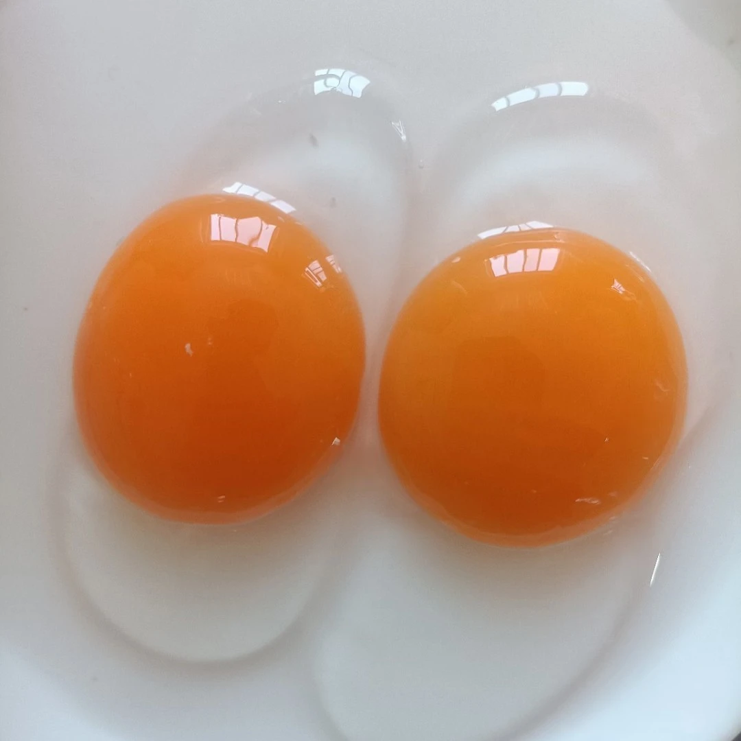 古龙咀富硒海鸭蛋鱼虾蟹饲养10枚装