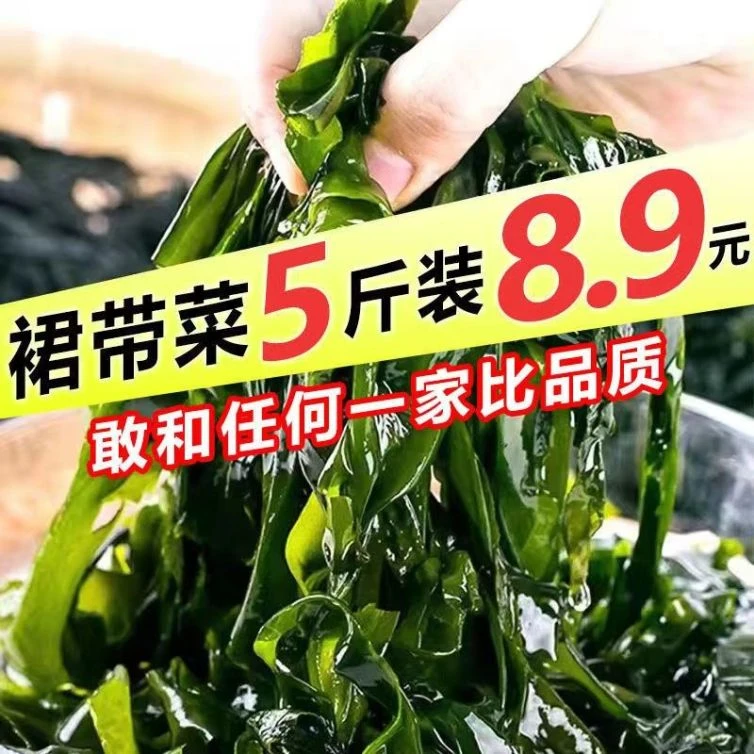 盐渍裙带菜半干货【精选品质】精品嫩海带烘干盐渍菜凉拌菜出口藻类
