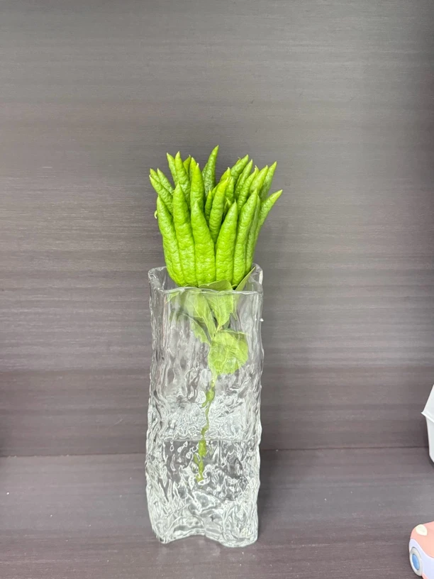正宗金华佛手带枝青果可水培水养观赏闻香把玩泡茶