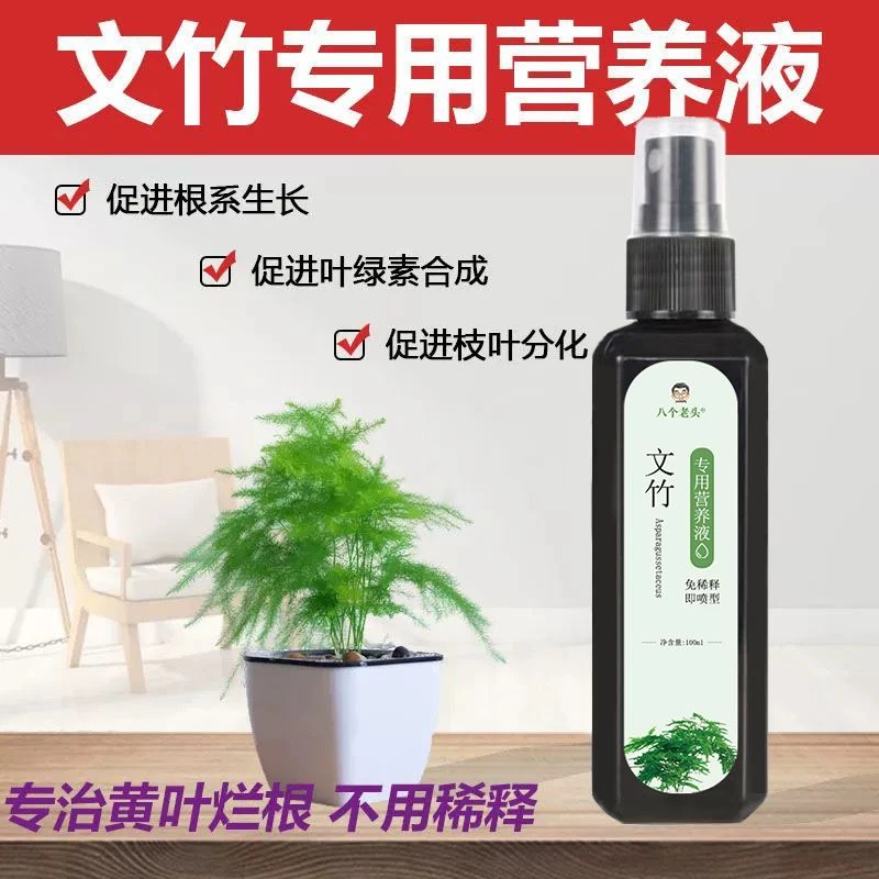 文竹专用营养液预防黄叶高效花肥料促生长生根免稀释液体肥一喷绿
