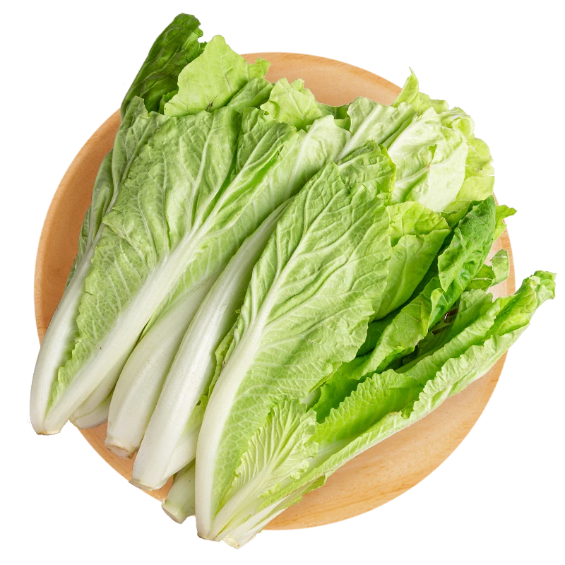 小白菜500g