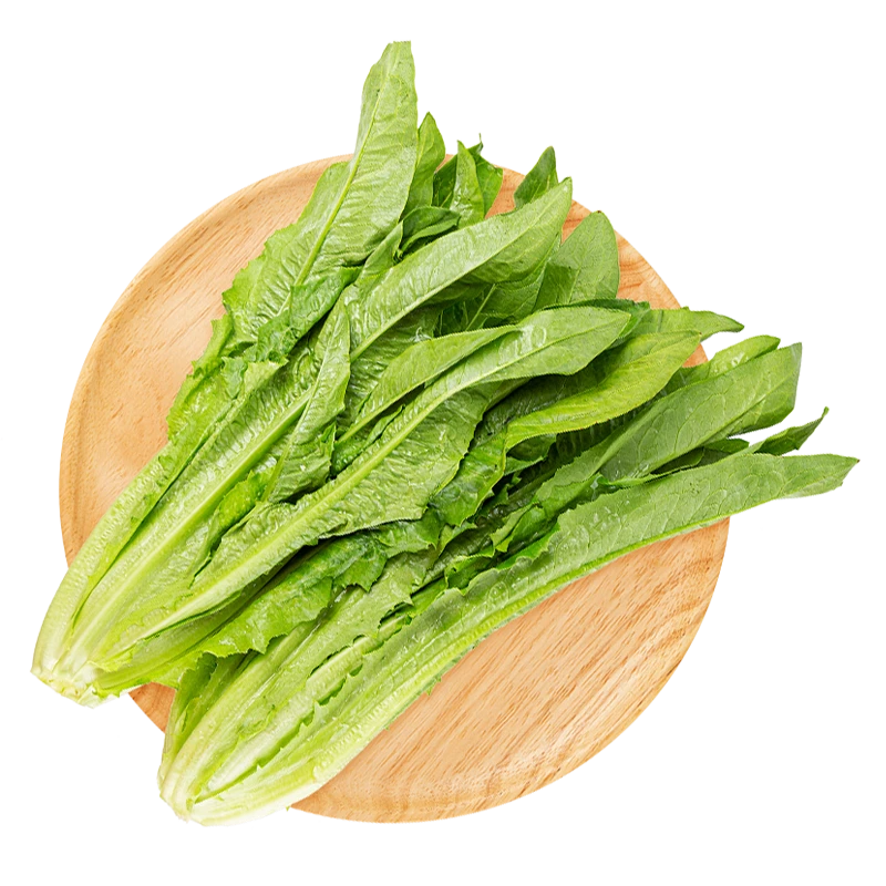 油麦菜500g-600g/2颗装