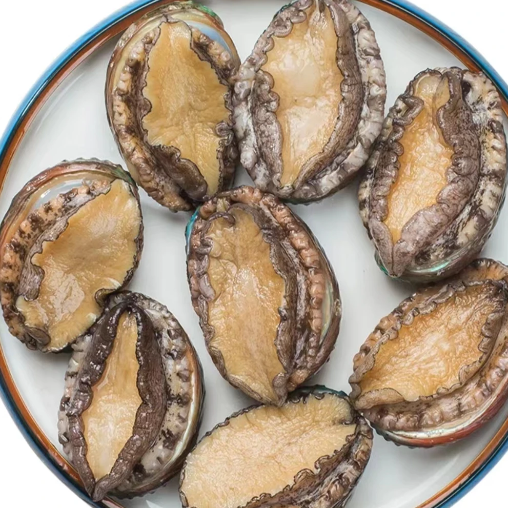 特大6头鲜活鲍鱼一斤称6个左右