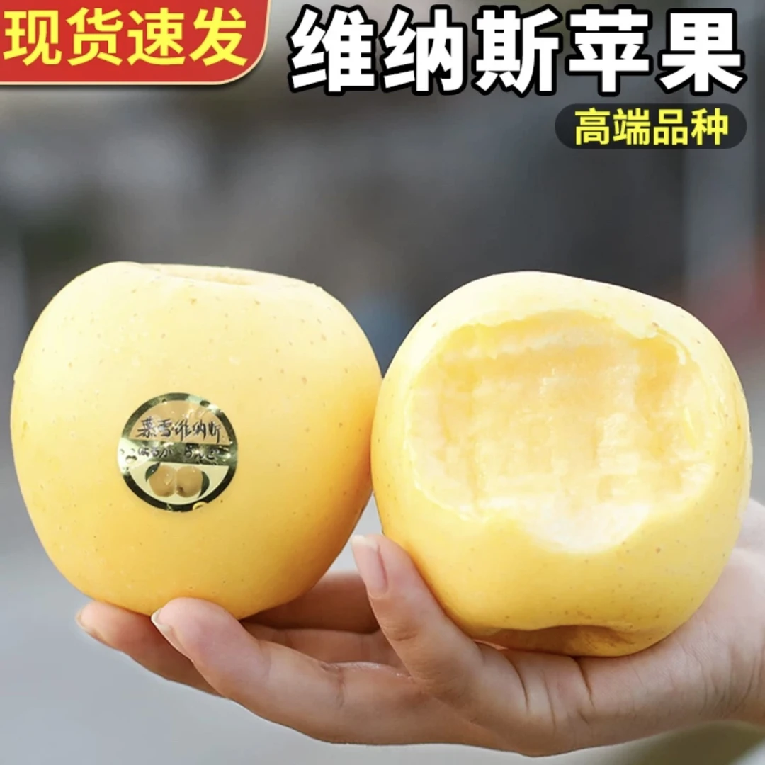 山东黄金维纳斯苹果脆甜口感5斤-9斤