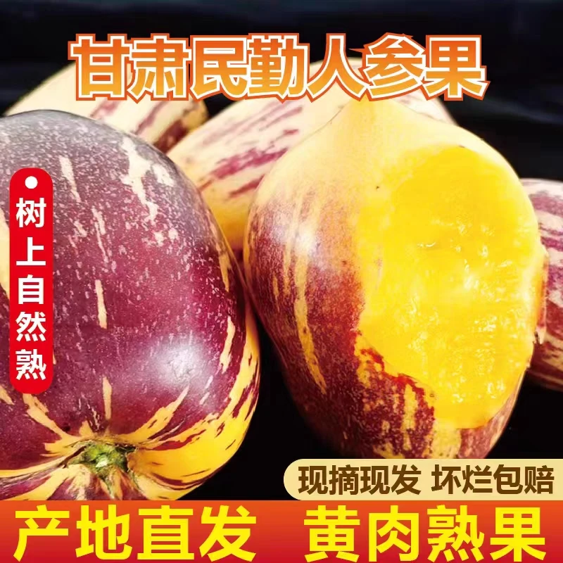 甘肃民勤沙漠人参果净重4.5斤自然成熟新鲜采摘产地直发