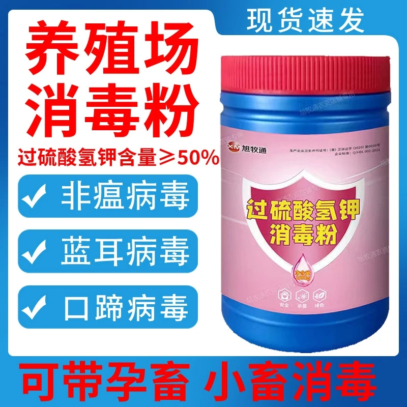 旭牧通过硫酸氢钾消毒粉殖场专用杀灭非瘟圆环蓝耳病毒