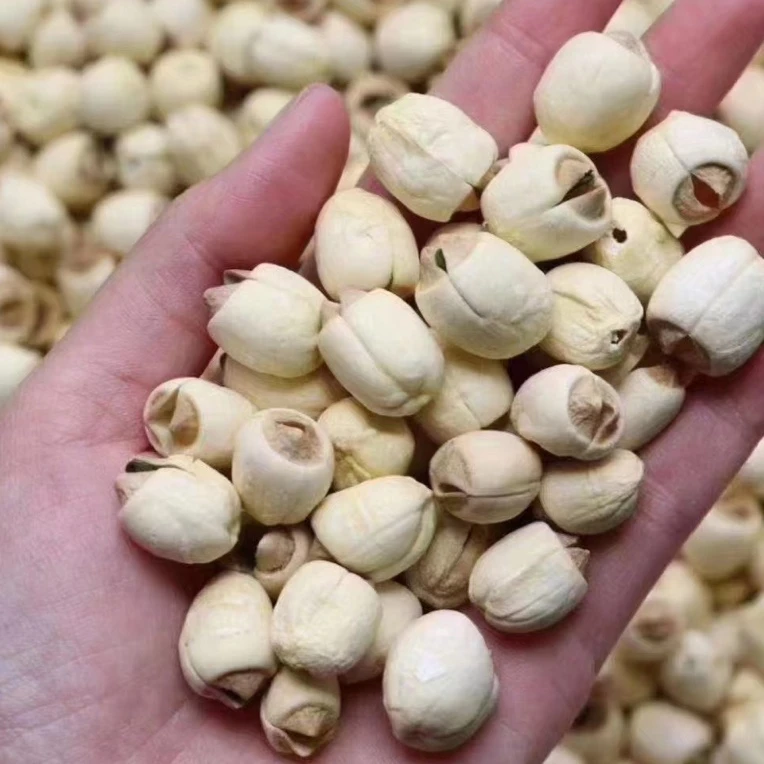 鱼胶莲子,500克食品干货 汕头发货