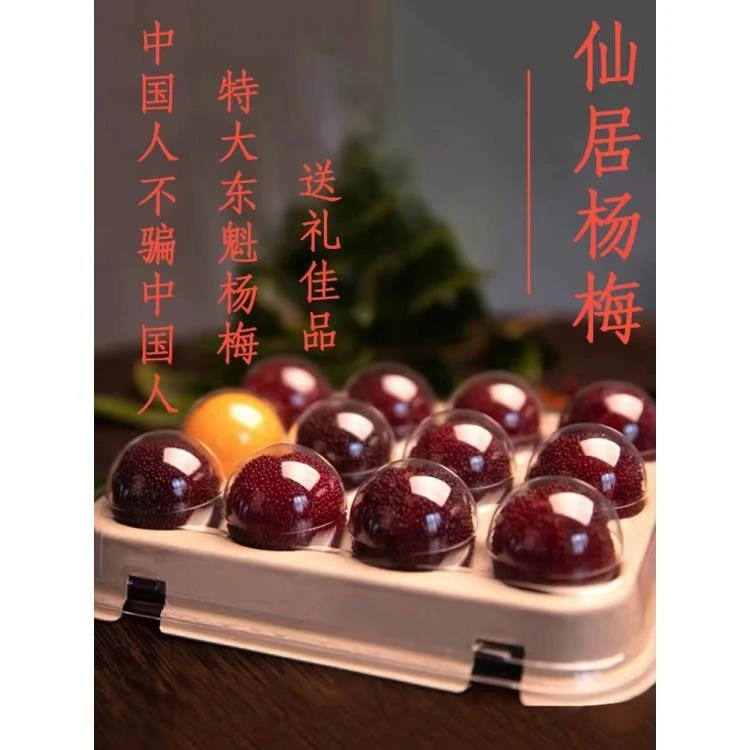 （贡品）包邮仙居杨梅30克以上特大东魁杨梅颗粒装杨梅新鲜现摘现发