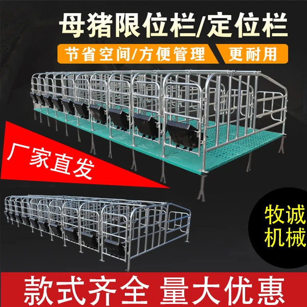 母猪限位栏定位栏猪用限位栏落地定位栏国标热镀锌钢管规格齐全