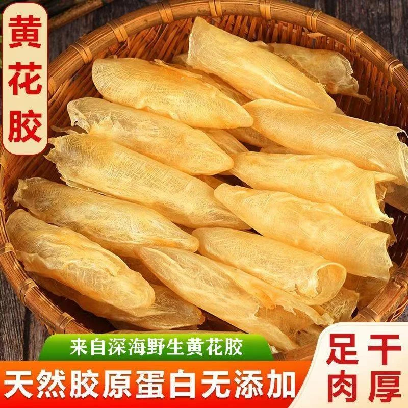 黄花胶100头咸水黄花筒胶质厚炖煮炖鸡炖汤食用自然晾晒营养滋补