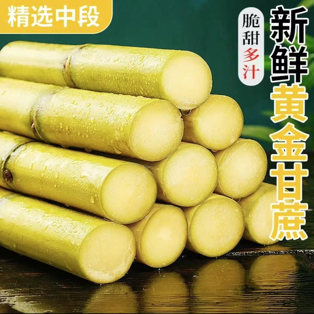 【黄皮甘蔗】正宗黄金甘蔗新鲜现挖现砍应季脆甜多汁杆果当季