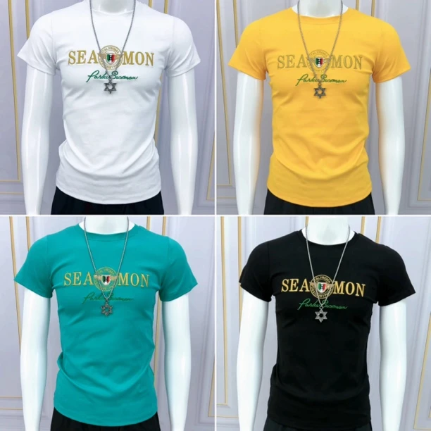 2025年新款男士圆领短袖T恤字母刺绣图案上衣半袖打底衫潮t恤