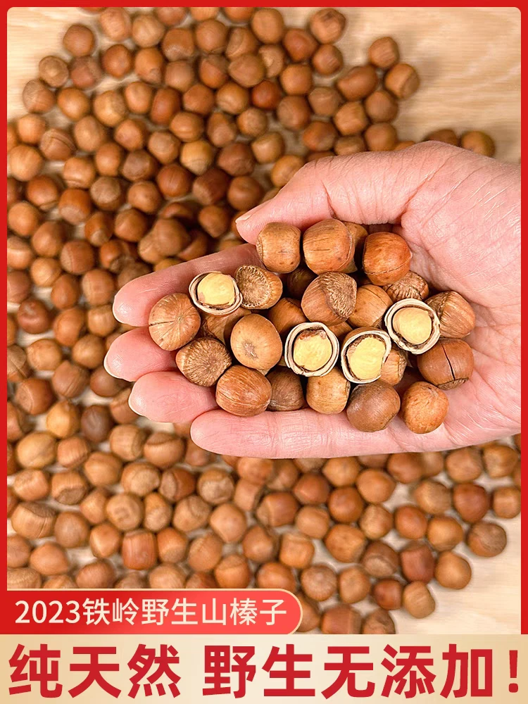 新货东北铁锅笨炒野生榛子原味薄皮营养严选天然晒干皮薄个大酥脆