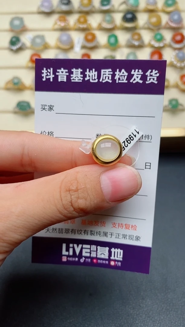 【闪购商品】翡翠颈饰银S925镶嵌......