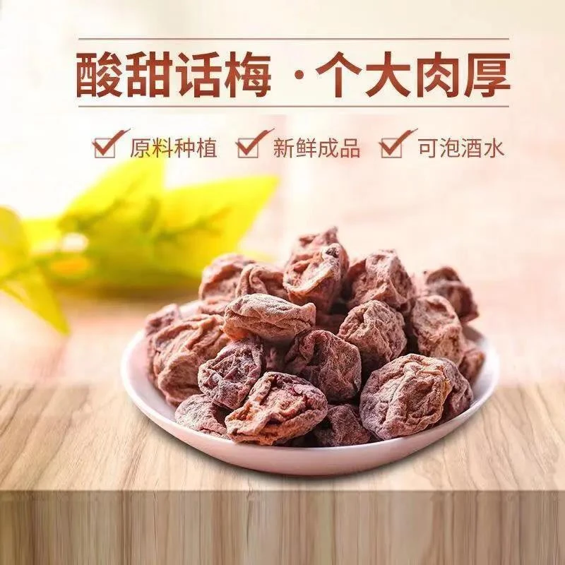 广式正宗特产话梅九制话梅果干蜜饯孕妇话梅休闲酸甜梅子小零食