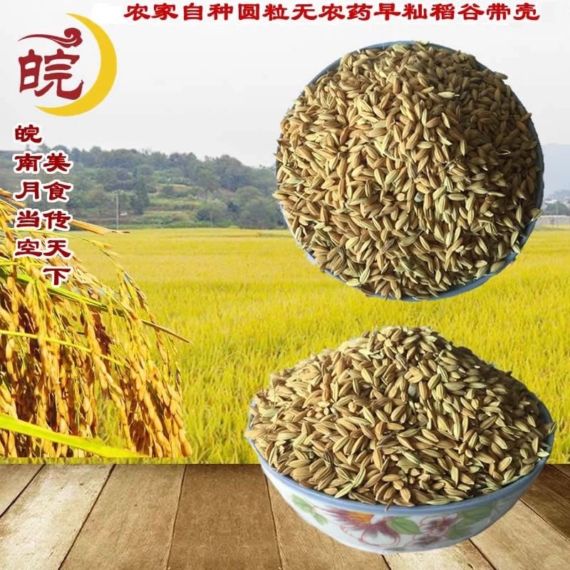 农家早籼稻子稻谷早稻米谷子喂鸡鸭饲料带壳水稻农家自种鸽粮25kg