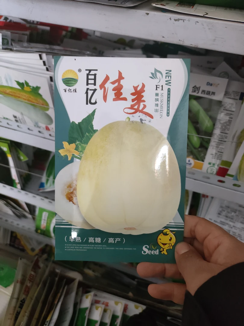 百亿佳美香瓜种籽