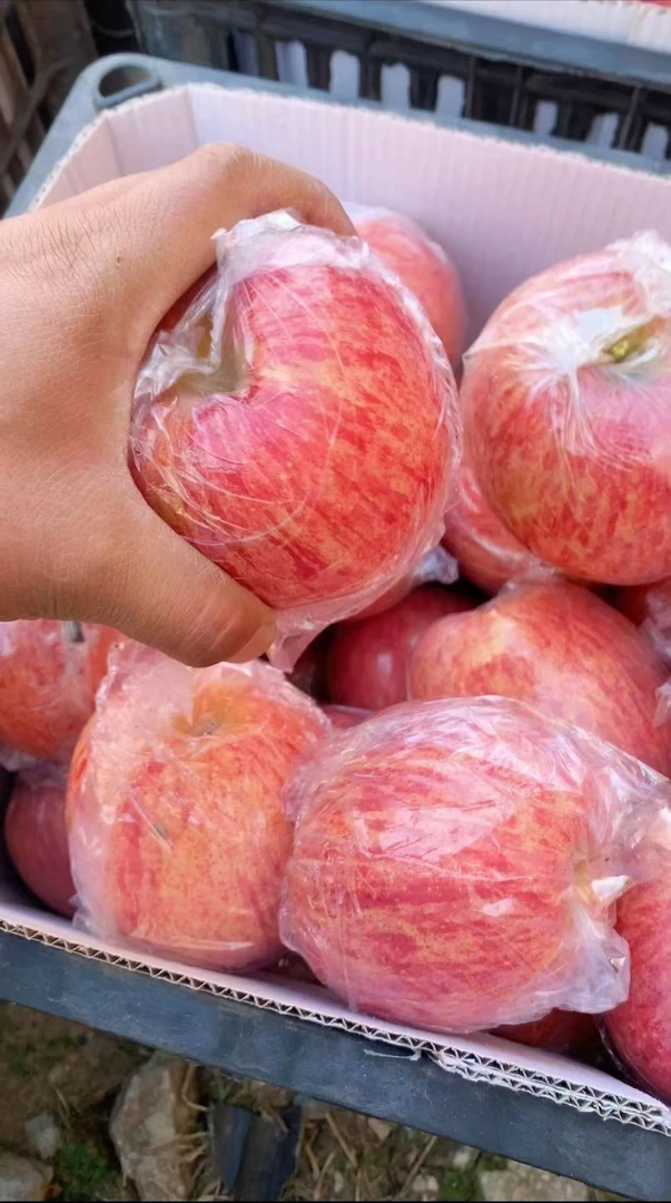 万荣纸加膜冰糖心苹果