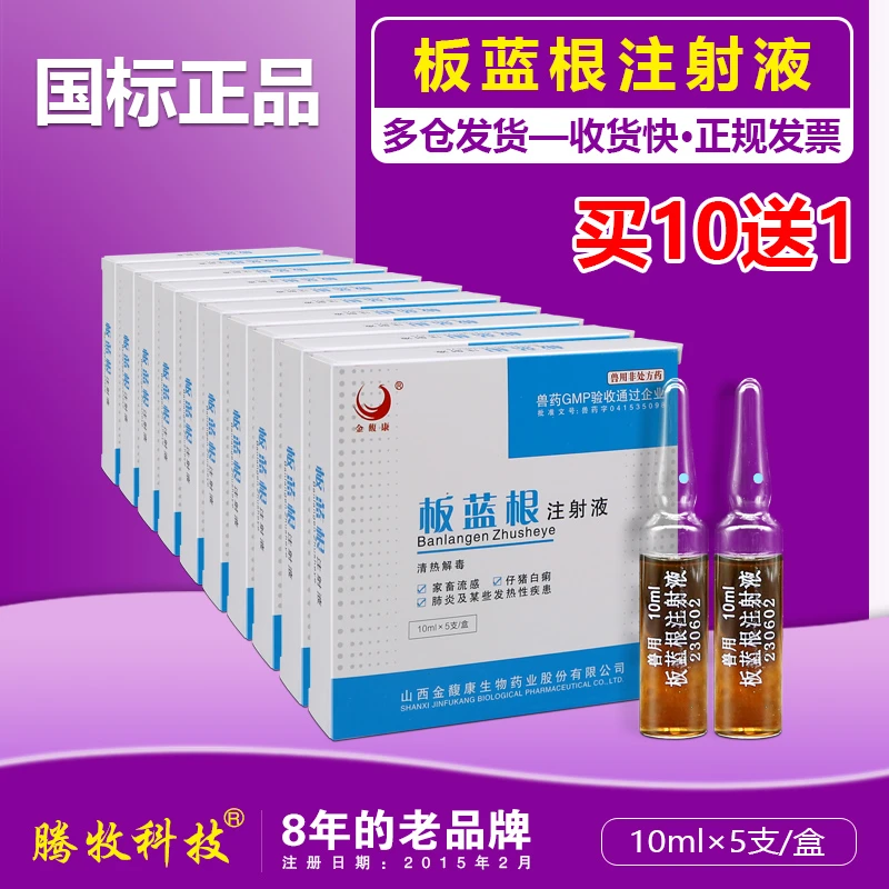 兽用板蓝根注射用液宠物牛羊猪用流感冒发烧药板蓝根兽用注射兽药