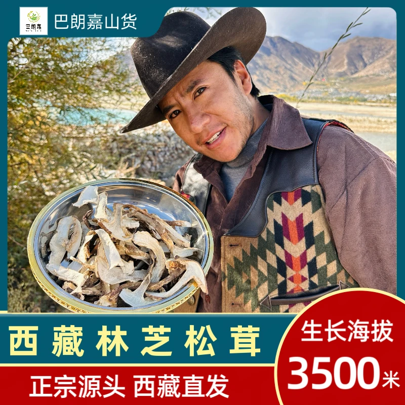 山货西藏林芝松茸干片纯野非种植山珍营养香味食用煲汤袋装