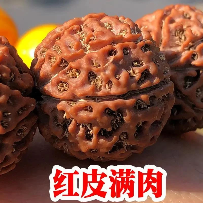 原籽金刚菩提手串男士女大金刚菩提子佛珠手连子7七8八瓣念珠收藏